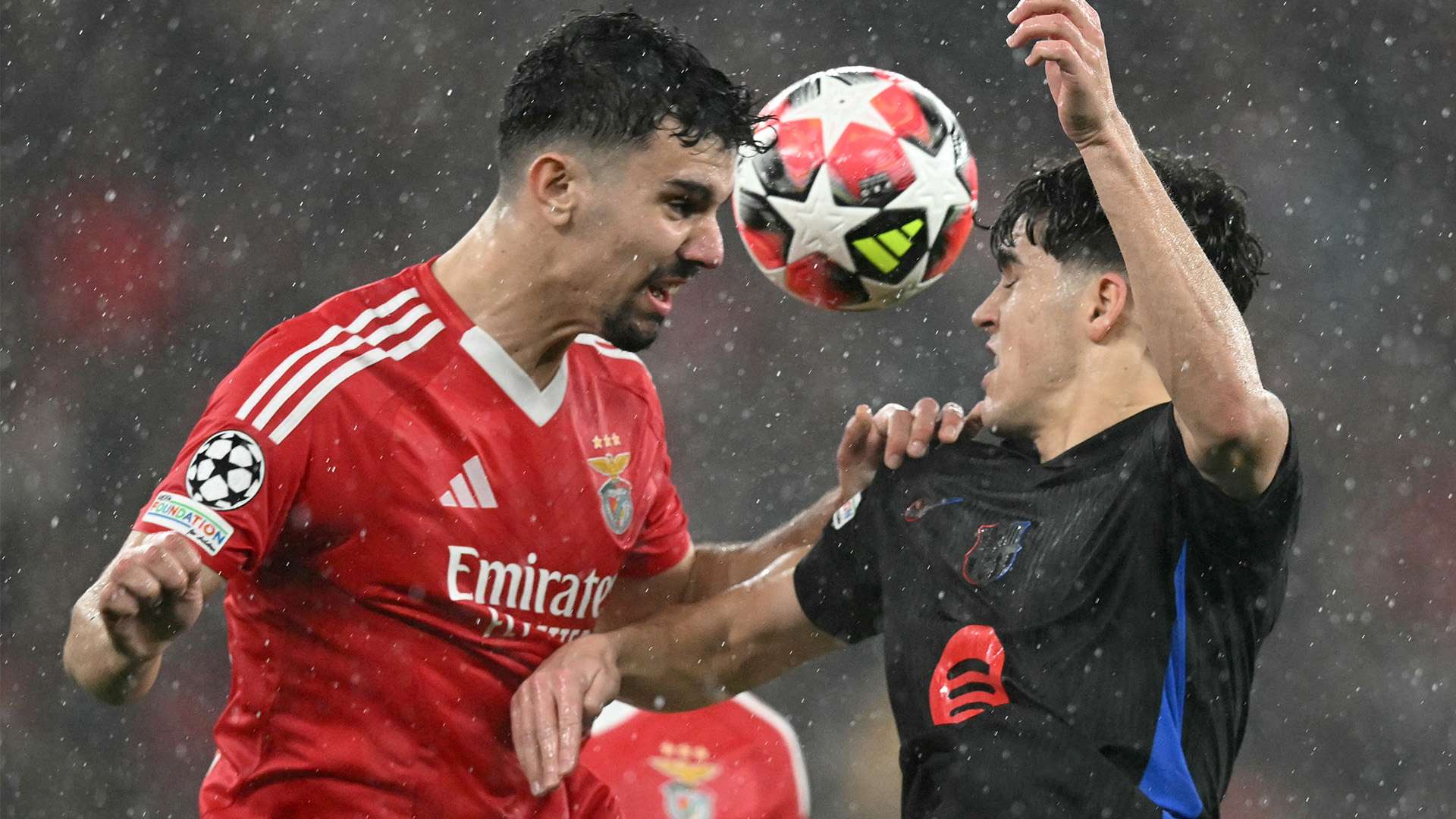 新了球迷對 新了球迷對