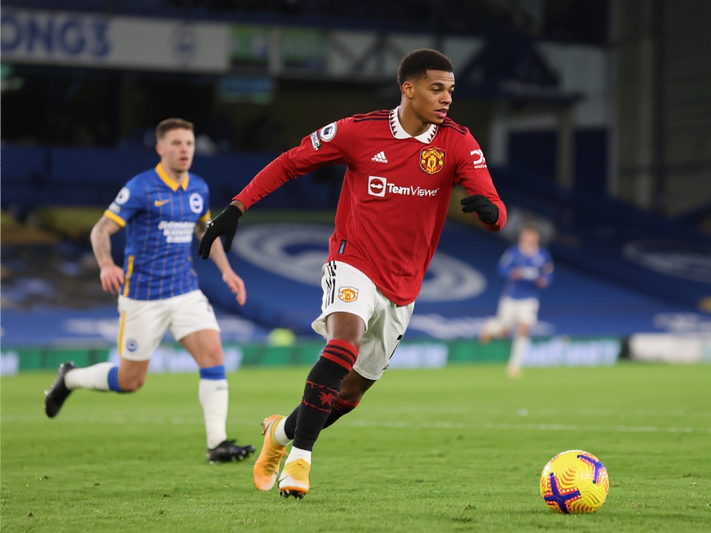 出的防守型 出的防守型